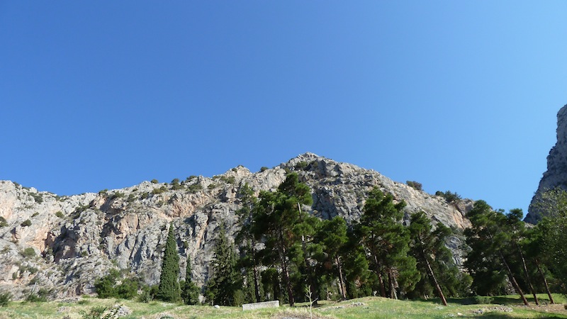 Delphi 7.JPG